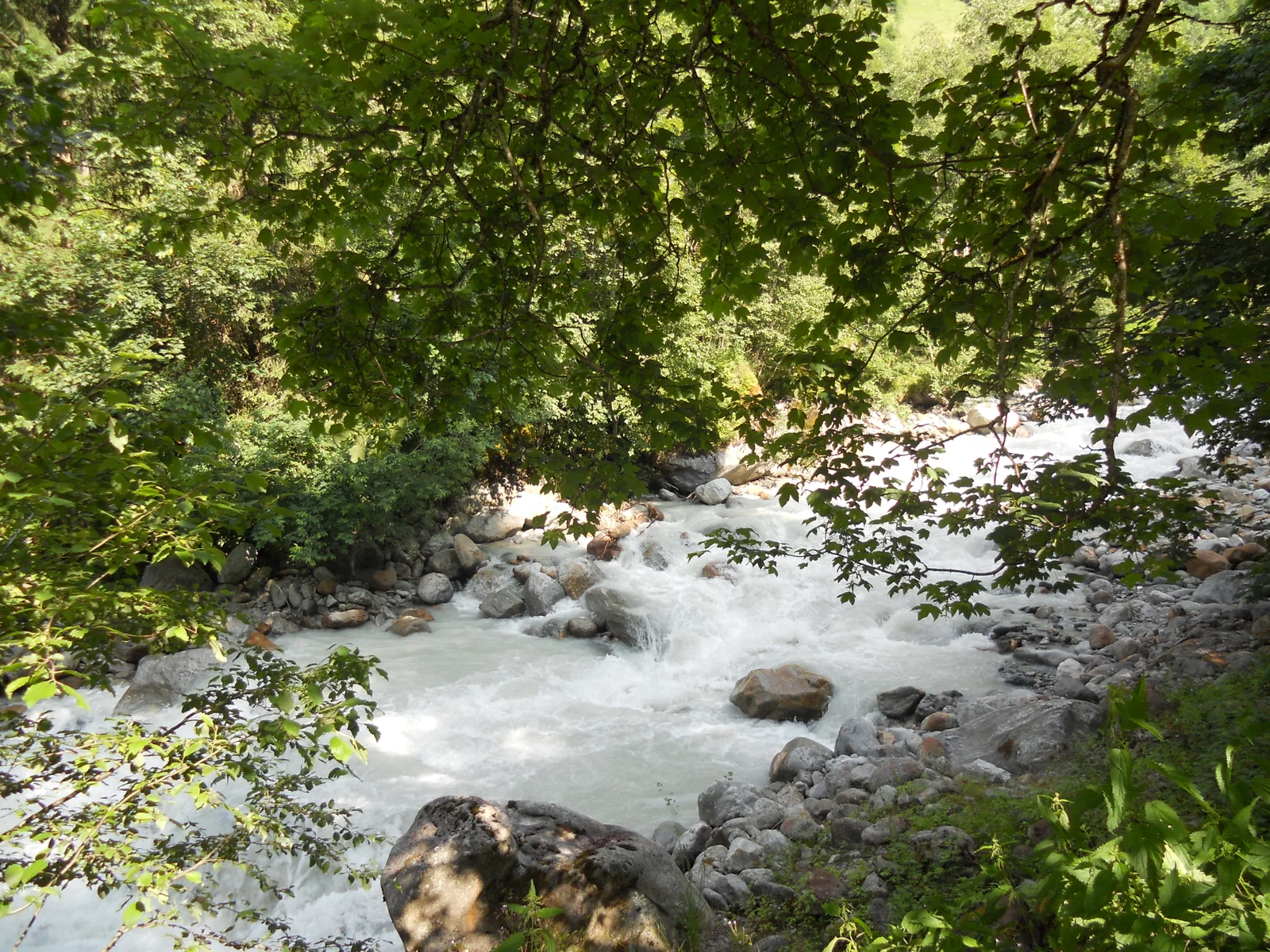 Kräuterstempel Massage